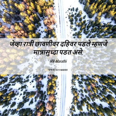 Picture 06 - गणना 11:9 MARIRV - जेव्हा रात्री - Bible Verse Picture