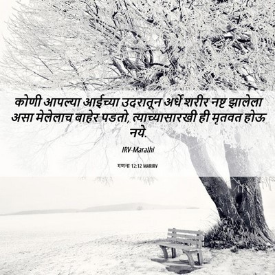 Picture 06 - गणना 12:12 MARIRV - कोणी आपल्या - Bible Verse Picture