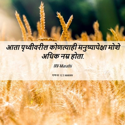 Picture 06 - गणना 12:3 MARIRV - आता पृथ्वीवरील - Bible Verse Picture