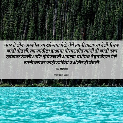 Picture 06 - गणना 13:23 MARIRV - नंतर ते लोक - Bible Verse Picture