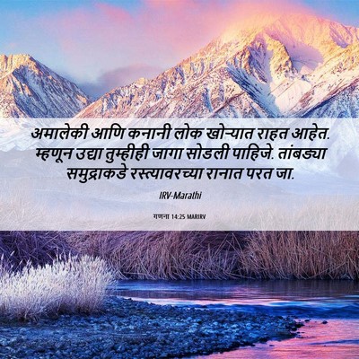 Picture 06 - गणना 14:25 MARIRV - अमालेकी आणि कनानी - Bible Verse Picture
