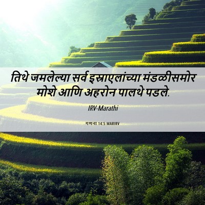 Picture 06 - गणना 14:5 MARIRV - तिथे जमलेल्या - Bible Verse Picture