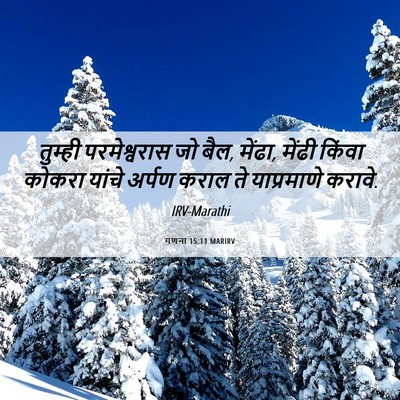 Picture 06 - गणना 15:11 MARIRV - तुम्ही परमेश्वरास - Bible Verse Picture