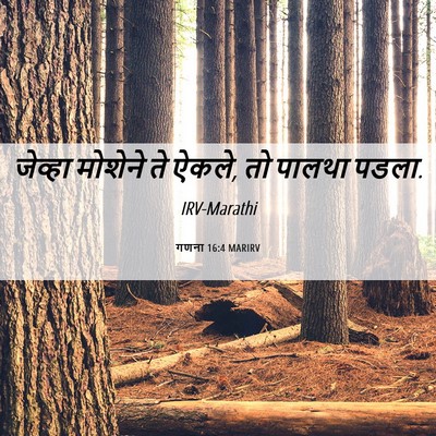 Picture 06 - गणना 16:4 MARIRV - जेव्हा मोशेने ते - Bible Verse Picture