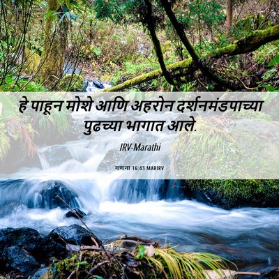 Picture 06 - गणना 16:43 MARIRV - हे पाहून मोशे आणि - Bible Verse Picture