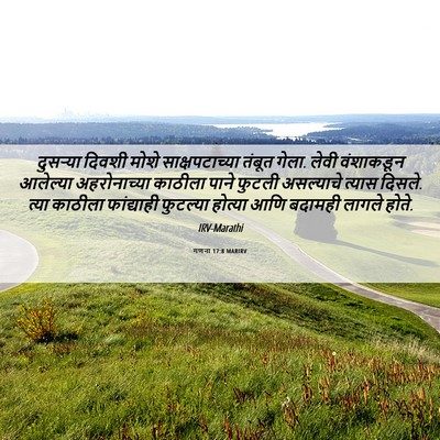 Picture 06 - गणना 17:8 MARIRV - दुसऱ्या दिवशी - Bible Verse Picture