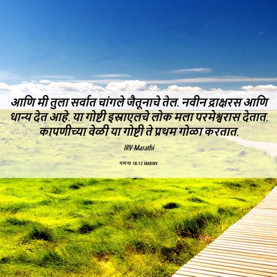 Picture 06 - गणना 18:12 MARIRV - आणि मी तुला सर्वात - Bible Verse Picture