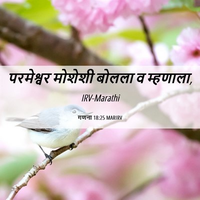 Picture 06 - गणना 18:25 MARIRV - परमेश्वर मोशेशी - Bible Verse Picture