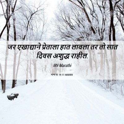 Picture 06 - गणना 19:11 MARIRV - जर एखाद्याने - Bible Verse Picture
