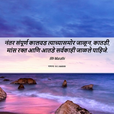 Picture 06 - गणना 19:5 MARIRV - नंतर संपूर्ण - Bible Verse Picture