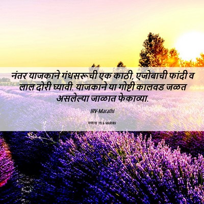 Picture 06 - गणना 19:6 MARIRV - नंतर याजकाने - Bible Verse Picture
