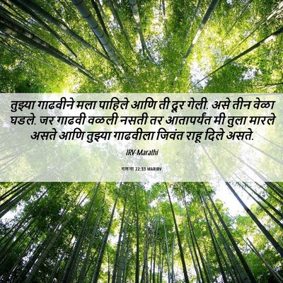Picture 06 - गणना 22:33 MARIRV - तुझ्या गाढवीने - Bible Verse Picture
