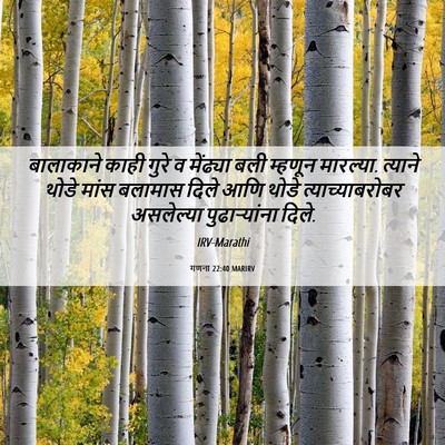 Picture 06 - गणना 22:40 MARIRV - बालाकाने काही - Bible Verse Picture