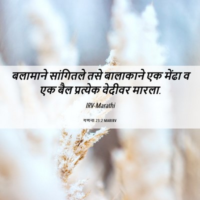 Picture 06 - गणना 23:2 MARIRV - बलामाने सांगितले - Bible Verse Picture