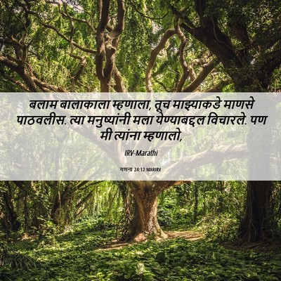 Picture 06 - गणना 24:12 MARIRV - बलाम बालाकाला - Bible Verse Picture