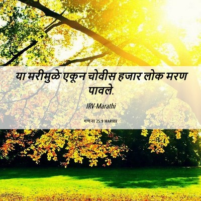 Picture 06 - गणना 25:9 MARIRV - या मरीमुळे एकून - Bible Verse Picture