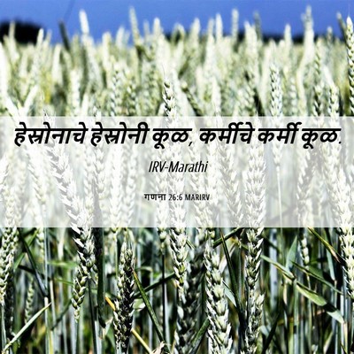Picture 06 - गणना 26:6 MARIRV - हेस्रोनाचे - Bible Verse Picture