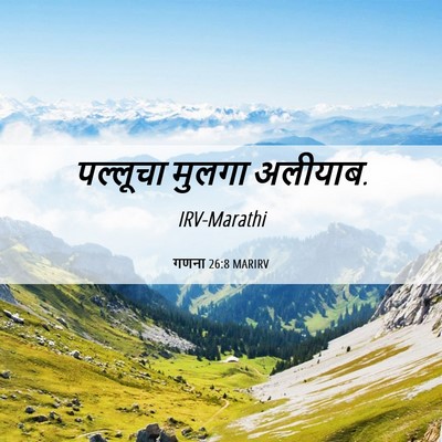 Picture 06 - गणना 26:8 MARIRV - पल्लूचा मुलगा - Bible Verse Picture
