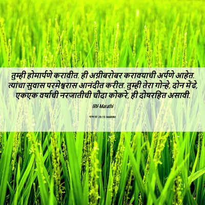 Picture 06 - गणना 29:13 MARIRV - तुम्ही होमार्पणे - Bible Verse Picture