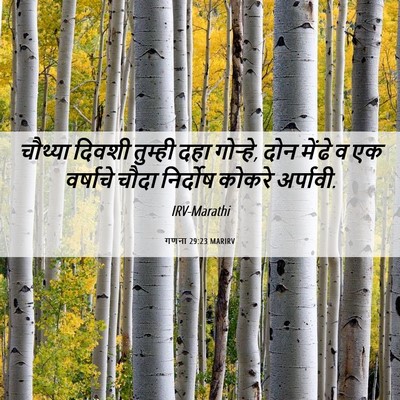 Picture 06 - गणना 29:23 MARIRV - चौथ्या दिवशी - Bible Verse Picture