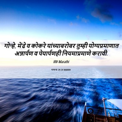 Picture 06 - गणना 29:24 MARIRV - गोऱ्हे, मेंढे व - Bible Verse Picture