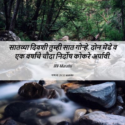 Picture 06 - गणना 29:32 MARIRV - सातव्या दिवशी - Bible Verse Picture