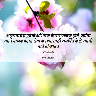 Picture 06 - गणना 3:3 MARIRV - अहरोनाचे हे पुत्र - Bible Verse Picture