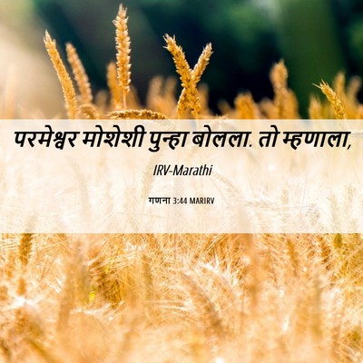 Picture 06 - गणना 3:44 MARIRV - परमेश्वर मोशेशी - Bible Verse Picture