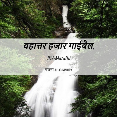 Picture 06 - गणना 31:33 MARIRV - बहात्तर हजार - Bible Verse Picture