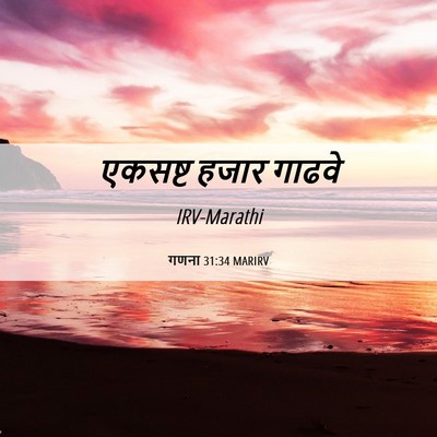 Picture 06 - गणना 31:34 MARIRV - एकसष्ट हजार - Bible Verse Picture