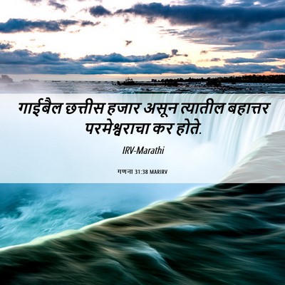 Picture 06 - गणना 31:38 MARIRV - गाईबैल छत्तीस - Bible Verse Picture
