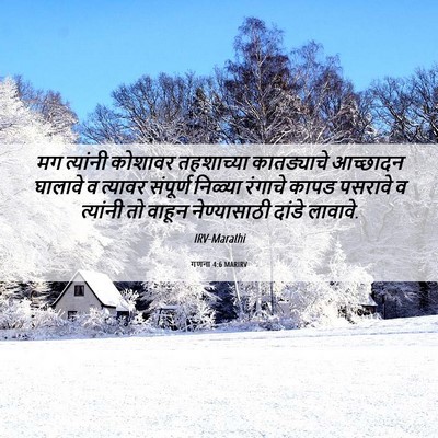 Picture 06 - गणना 4:6 MARIRV - मग त्यांनी कोशावर - Bible Verse Picture