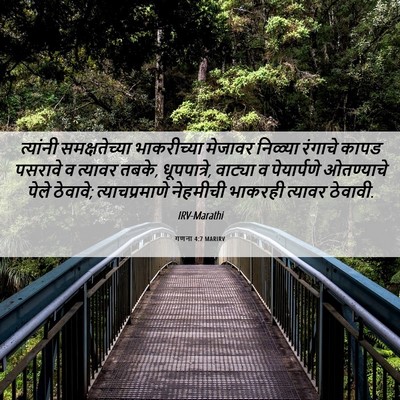 Picture 06 - गणना 4:7 MARIRV - त्यांनी - Bible Verse Picture