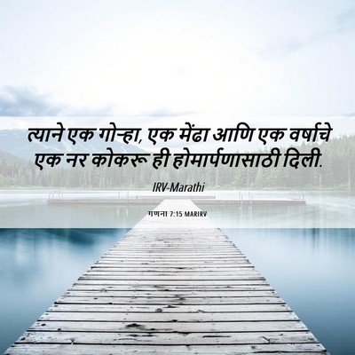 Picture 06 - गणना 7:15 MARIRV - त्याने एक गोऱ्हा, - Bible Verse Picture