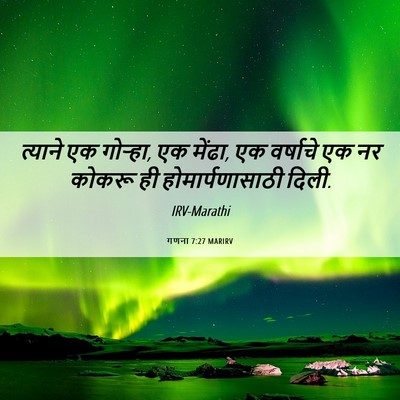 Picture 06 - गणना 7:27 MARIRV - त्याने एक गोऱ्हा, - Bible Verse Picture