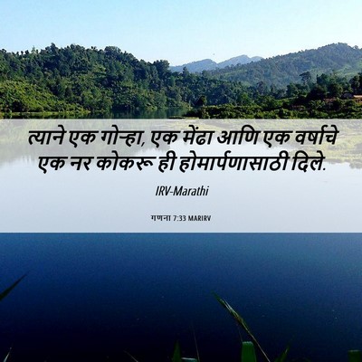 Picture 06 - गणना 7:33 MARIRV - त्याने एक गोऱ्हा, - Bible Verse Picture