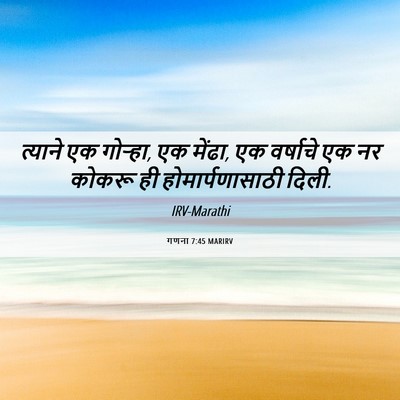 Picture 06 - गणना 7:45 MARIRV - त्याने एक गोऱ्हा, - Bible Verse Picture