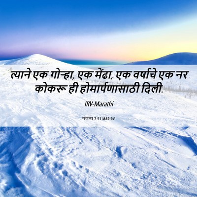 Picture 06 - गणना 7:51 MARIRV - त्याने एक गोऱ्हा, - Bible Verse Picture