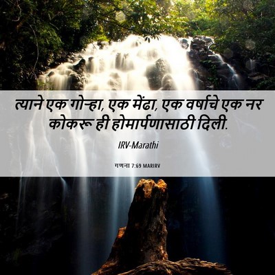 Picture 06 - गणना 7:69 MARIRV - त्याने एक गोऱ्हा, - Bible Verse Picture