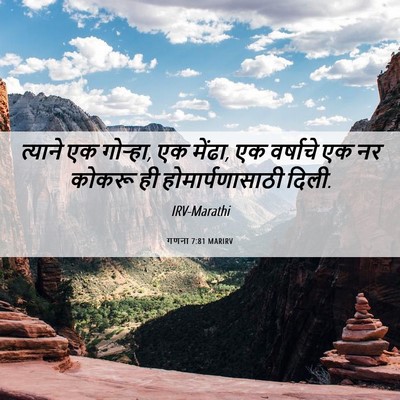 Picture 06 - गणना 7:81 MARIRV - त्याने एक गोऱ्हा, - Bible Verse Picture