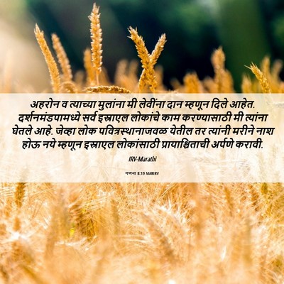 Picture 06 - गणना 8:19 MARIRV - अहरोन व त्याच्या - Bible Verse Picture