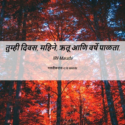 Picture 06 - गलतीकरांस 4:10 MARIRV - तुम्ही दिवस, महिने, - Bible Verse Picture