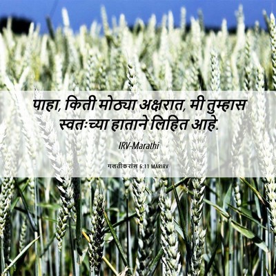 Picture 06 - गलतीकरांस 6:11 MARIRV - पाहा, किती मोठ्या - Bible Verse Picture