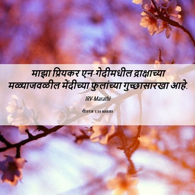 Picture 06 - गीतरत्न 1:14 MARIRV - माझा प्रियकर - Bible Verse Picture