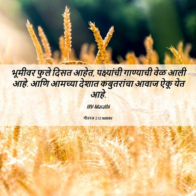 Picture 06 - गीतरत्न 2:12 MARIRV - भूमीवर फुले दिसत - Bible Verse Picture
