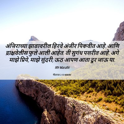 Picture 06 - गीतरत्न 2:13 MARIRV - अंजिराच्या - Bible Verse Picture