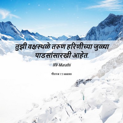 Picture 06 - गीतरत्न 7:3 MARIRV - तुझी वक्षस्थळे - Bible Verse Picture