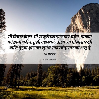 Picture 06 - गीतरत्न 7:8 MARIRV - मी विचार केला, मी - Bible Verse Picture