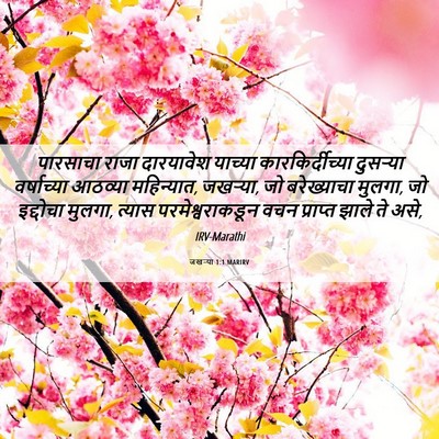 Picture 06 - जखऱ्या 1:1 MARIRV - पारसाचा राजा - Bible Verse Picture