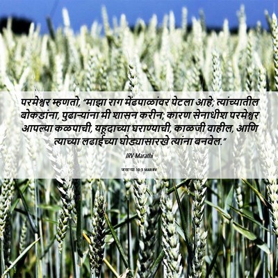 Picture 06 - जखऱ्या 10:3 MARIRV - परमेश्वर म्हणतो, - Bible Verse Picture